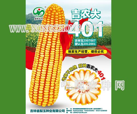 吉农大401玉米种子